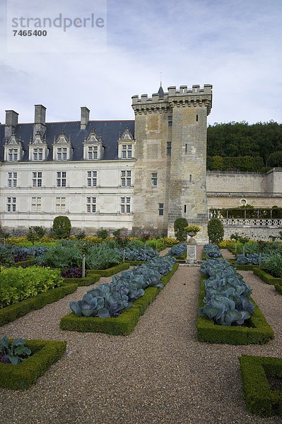 Frankreich  Europa  Gemüsegarten  UNESCO-Welterbe  Indre-et-Loire  Loiretal