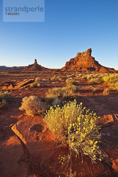 Vereinigte Staaten von Amerika  USA  sitzend  Sonnenuntergang  Nordamerika  Spitzkoppe Afrika  Henne  Hahn  Utah