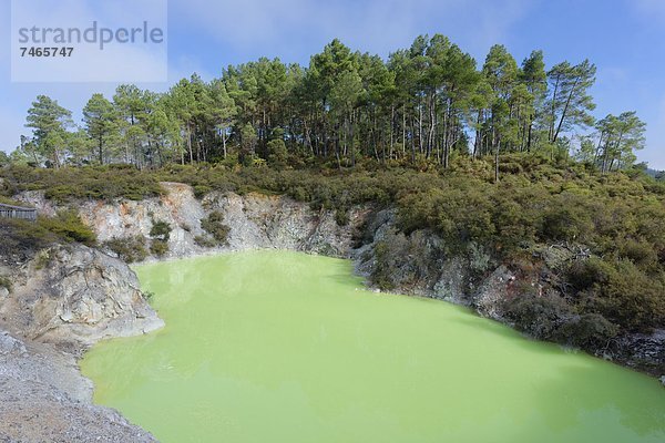 Pazifischer Ozean  Pazifik  Stiller Ozean  Großer Ozean  neuseeländische Nordinsel  Neuseeland  Rotorua