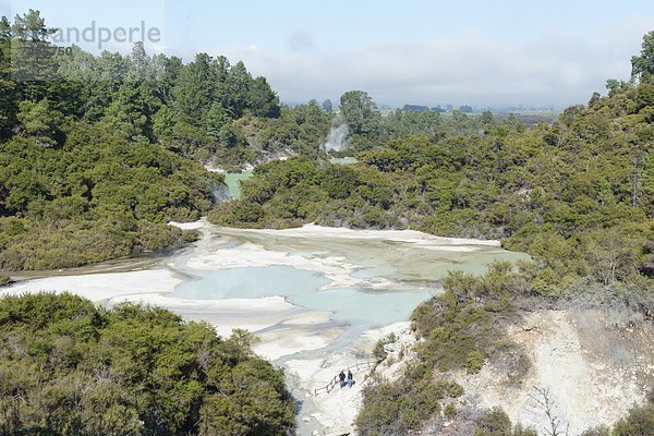 Pazifischer Ozean  Pazifik  Stiller Ozean  Großer Ozean  neuseeländische Nordinsel  Neuseeland  Rotorua