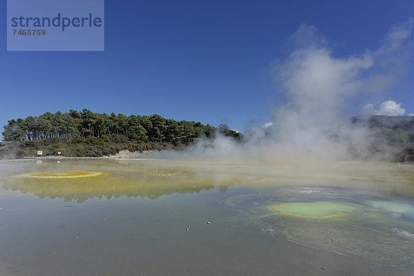 Pazifischer Ozean  Pazifik  Stiller Ozean  Großer Ozean  neuseeländische Nordinsel  Neuseeland  Rotorua