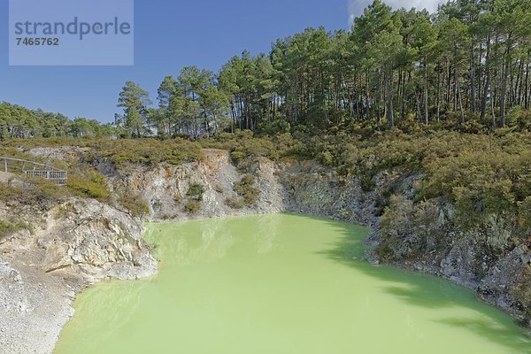 Pazifischer Ozean  Pazifik  Stiller Ozean  Großer Ozean  neuseeländische Nordinsel  Neuseeland  Rotorua