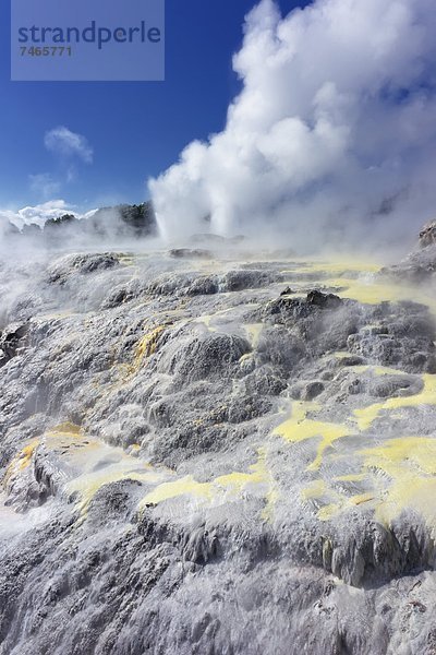 Geysir  Pazifischer Ozean  Pazifik  Stiller Ozean  Großer Ozean  neuseeländische Nordinsel  Neuseeland  Prinz  Rotorua  Wales