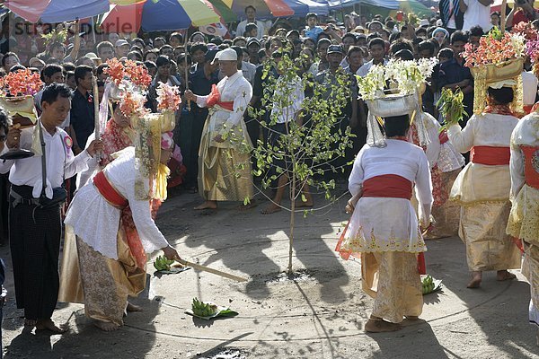 Einheit  Baum  Zeremonie  Festival  Ladung  Myanmar  Asien  Mandalay Division  Ritual  Gewerkschaft