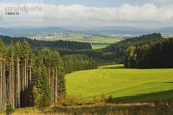 entfernt  Europa  Wald  Ansicht  Bayern  Breitenberg  Deutschland