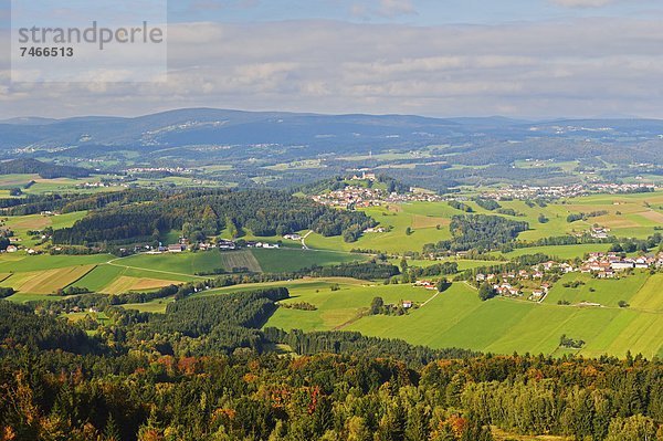 Europa  Wald  Ansicht  Bayern  bayerisch  Deutschland