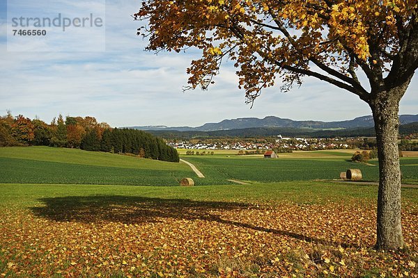 Ländliches Motiv  ländliche Motive  Europa  Dorf  Baden-Württemberg  Schwarzwald  Deutschland