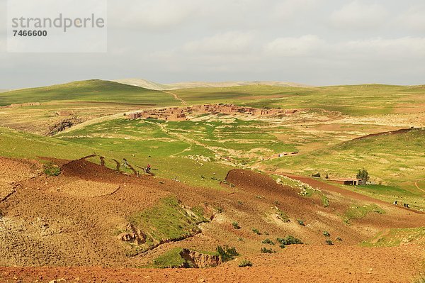 Nordafrika  nahe  Tradition  Afrika  Berber  Marokko