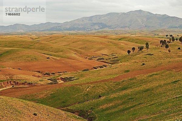 Nordafrika  nahe  Tradition  Afrika  Berber  Marokko