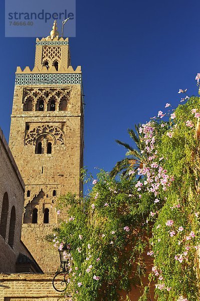 Nordafrika  Afrika  Koutoubia-Moschee  Marrakesch  Marokko