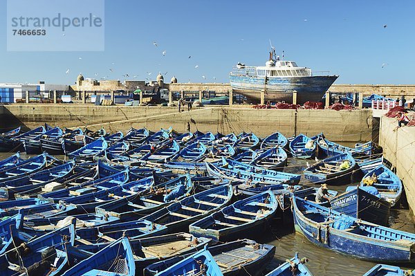 Nordafrika  Hafen  Afrika  Marokko