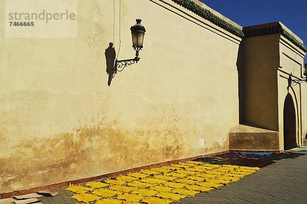 Nordafrika  trocknen  Koutoubia-Moschee  Afrika  Leder  Marrakesch  Marokko  Moschee  Sonne