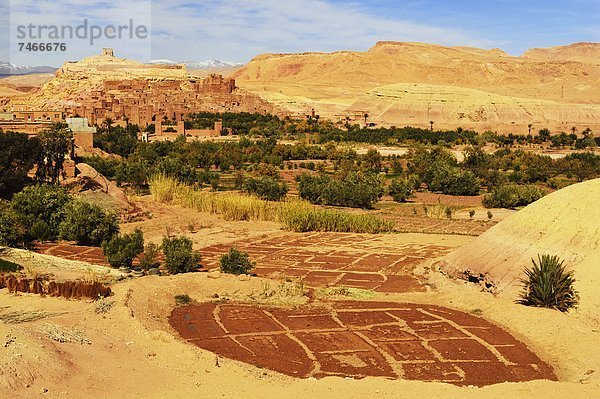 Nordafrika  UNESCO-Welterbe  Afrika  Marokko