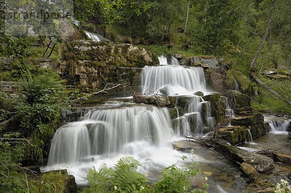 Europa  Norwegen  Hordaland  Skandinavien