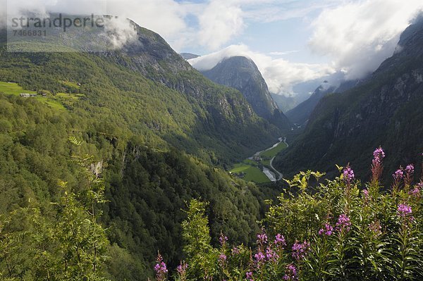 Europa  Norwegen  Skandinavien