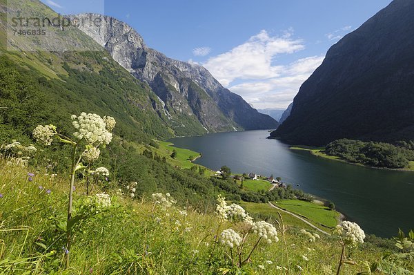 Europa  Norwegen  UNESCO-Welterbe  Skandinavien  Sogn og Fjordane