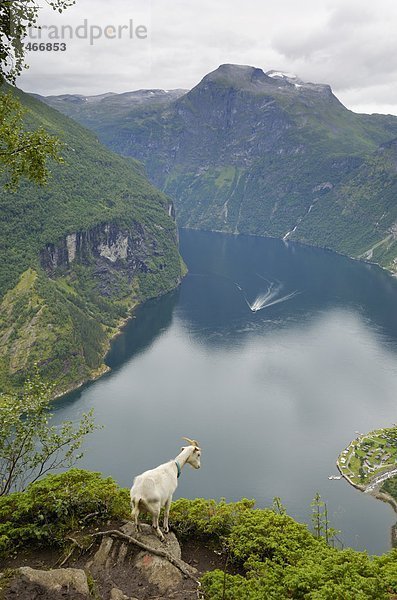 Europa  Norwegen  UNESCO-Welterbe  More og Romsdal  Skandinavien