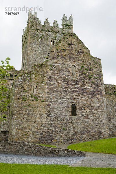 Jerpoint Abbey  County Kilkenny  Leinster  Irland (Eire)  Europa