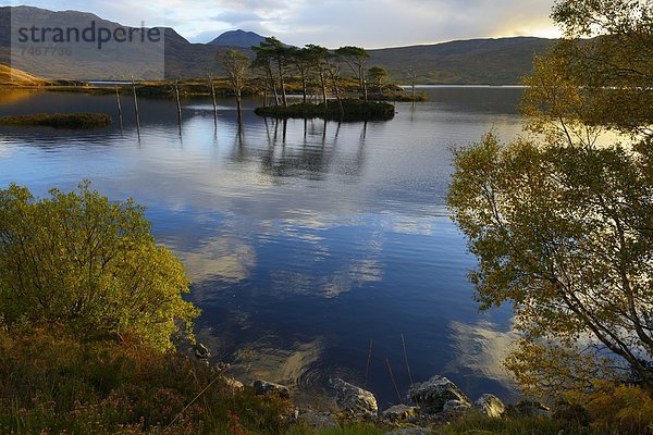 Europa  Großbritannien  Highlands  Schottland  Sutherland