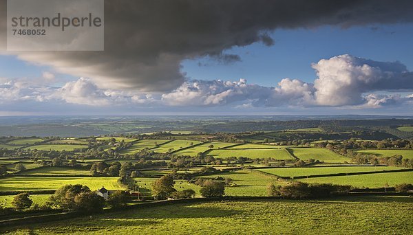 Europa  Großbritannien  Devon  England