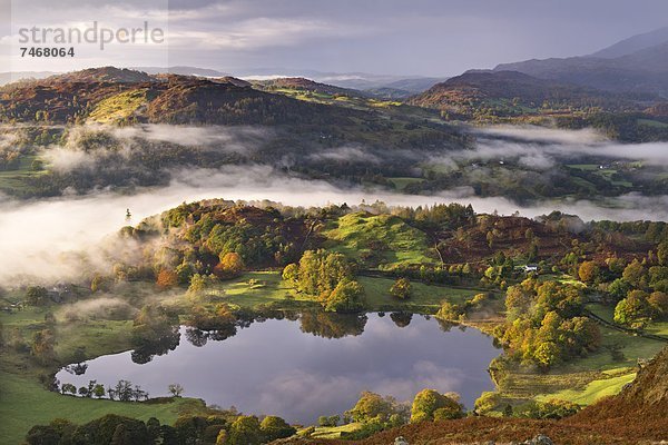 Europa  Ländliches Motiv  ländliche Motive  Großbritannien  Dunst  Herbst  umgeben  Cumbria  England  Tarn