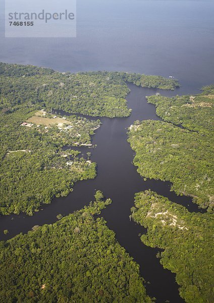 Ansicht  Luftbild  Fernsehantenne  Brasilien  Manaus  Regenwald  Südamerika