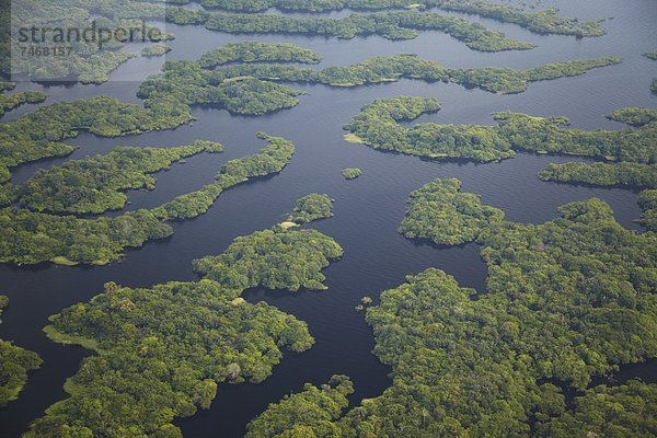 Ansicht  Nebenfluß  Luftbild  Fernsehantenne  Brasilien  Manaus  Regenwald  Südamerika