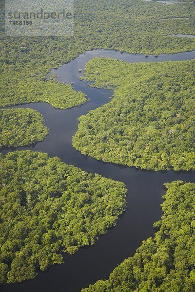 Ansicht  Nebenfluß  Luftbild  Fernsehantenne  Brasilien  Manaus  Regenwald  Südamerika