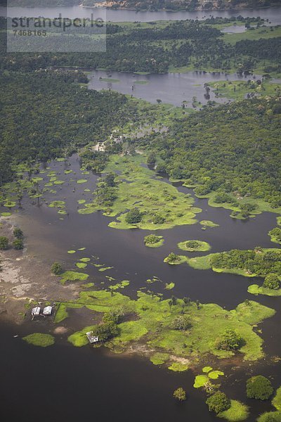 Ansicht  Nebenfluß  Luftbild  Fernsehantenne  Brasilien  Manaus  Regenwald  Südamerika