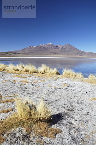 Landschaft  Bolivien  Südamerika
