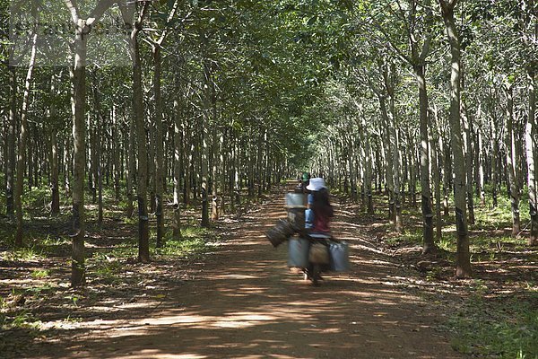 arbeiten  fahren  Plantage  Südostasien  Vietnam  Asien  Kambodscha  Gummi