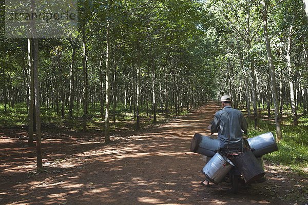 Südostasien  Vietnam  Asien  Kambodscha