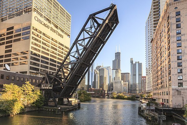 Vereinigte Staaten von Amerika  USA  heben  Brücke  Hintergrund  Fluss  Zug  Nordamerika  Fokus auf den Vordergrund  Fokus auf dem Vordergrund  Zimmer  Ruine  Sears Tower  Chicago  Illinois