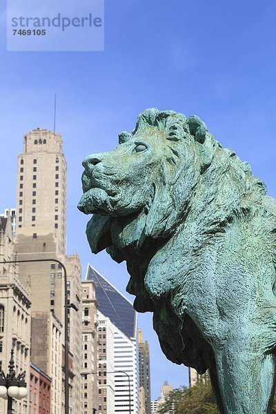 Vereinigte Staaten von Amerika  USA  Außenaufnahme  Löwe  Panthera leo  Kunst  Statue  Nordamerika  2  1  Bronze  Chicago  Illinois  Institut