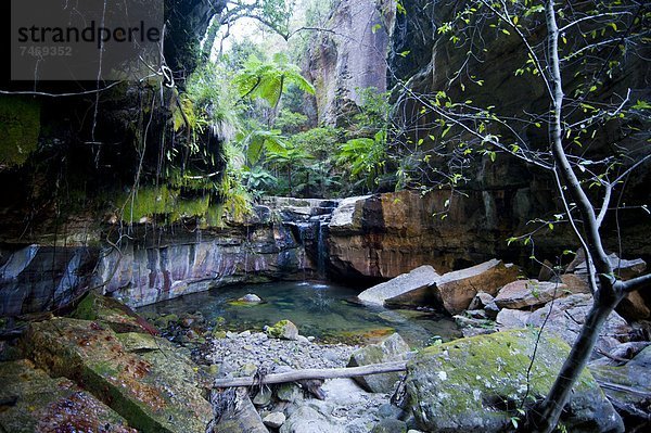 Felsbrocken  klein  Pazifischer Ozean  Pazifik  Stiller Ozean  Großer Ozean  Australien  Teich  Queensland