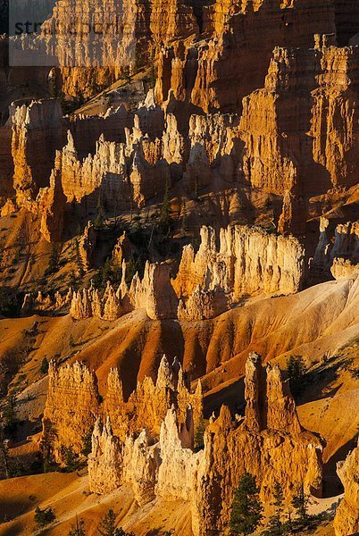 Vereinigte Staaten von Amerika  USA  Felsbrocken  Schönheit  Sonnenuntergang  Anordnung  Nordamerika  Bryce Canyon Nationalpark  Schlucht  Utah