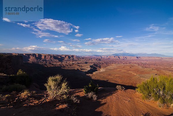 Vereinigte Staaten von Amerika  USA  Nordamerika  Canyonlands Nationalpark  Utah