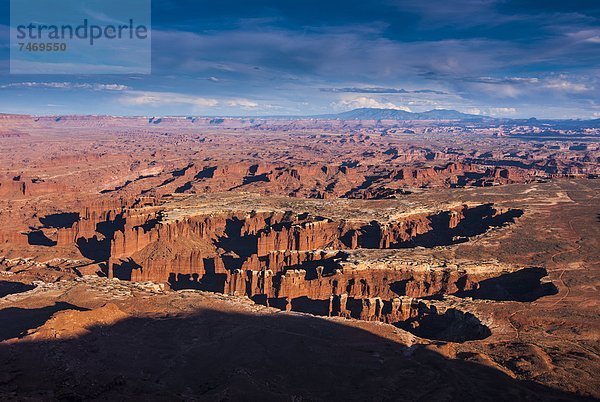 Vereinigte Staaten von Amerika  USA  Nordamerika  Canyonlands Nationalpark  Utah