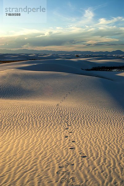 Vereinigte Staaten von Amerika  USA  weiß  Monument  Sand  Nordamerika  Düne  New Mexico