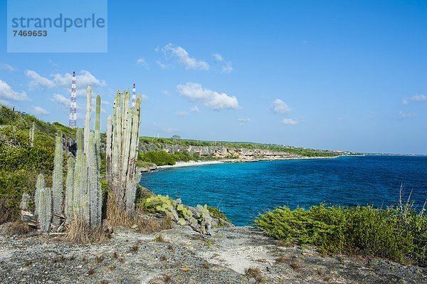 Niederländische Antillen  Küste  Karibik  Mittelamerika  Bonaire  Linie