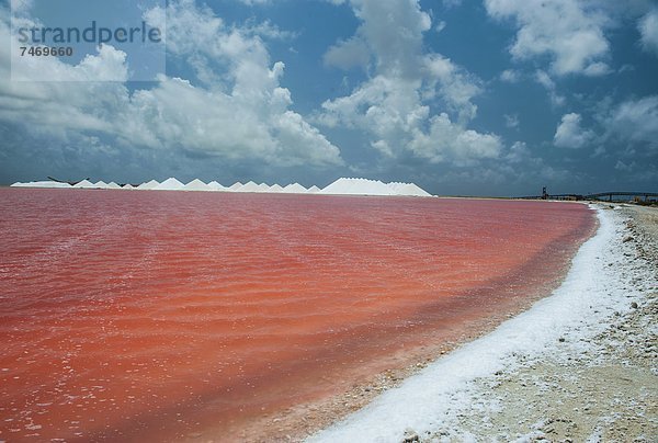 Niederländische Antillen  Karibik  Mittelamerika  Bonaire  Bergwerk  Grube  Gruben  Saline  Speisesalz  Salz