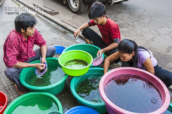 Phnom Penh  Hauptstadt  Südostasien  Vietnam  Asien  Kambodscha