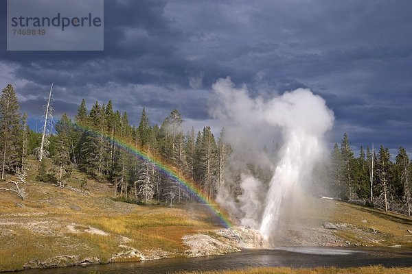 Vereinigte Staaten von Amerika  USA  Nordamerika  Geysir  UNESCO-Welterbe  Yellowstone Nationalpark  Wyoming