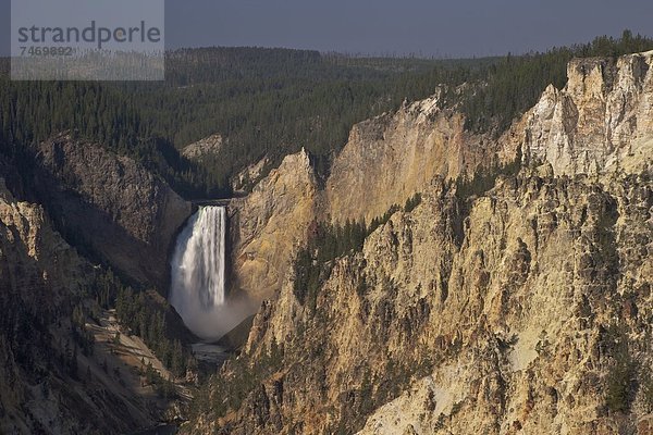 Vereinigte Staaten von Amerika  USA  Ehrfurcht  Fluss  Nordamerika  Yellowstone Nationalpark  UNESCO-Welterbe  Schlucht  Wyoming