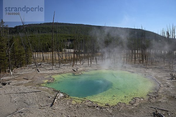 Vereinigte Staaten von Amerika  USA  Nordamerika  UNESCO-Welterbe  Yellowstone Nationalpark  Wyoming