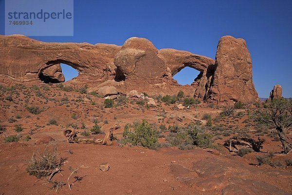 Vereinigte Staaten von Amerika  USA  Brille  Nordamerika  Arches Nationalpark  Moab  Utah