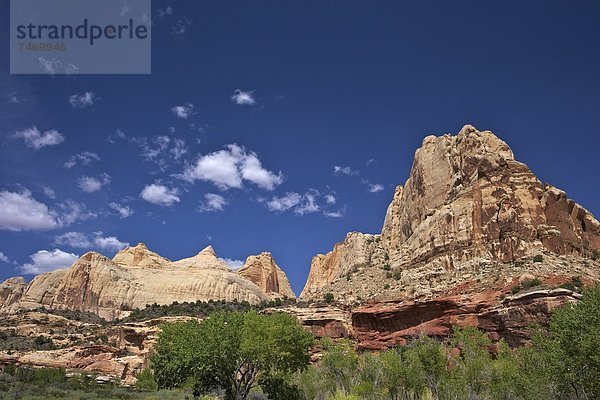 Vereinigte Staaten von Amerika  USA  Nordamerika  Capitol Reef Nationalpark  Utah