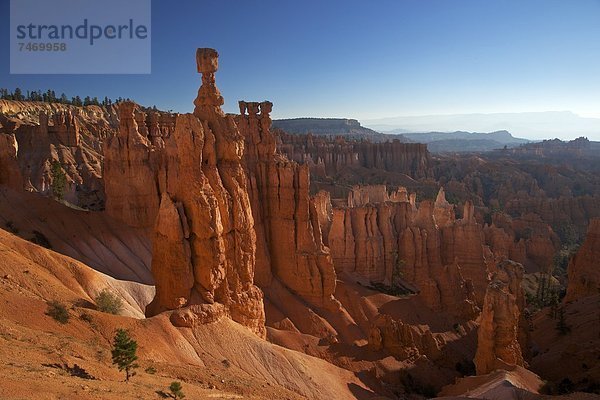 Vereinigte Staaten von Amerika  USA  Sonnenuntergang  Morgen  früh  Nordamerika  Hammer  zeigen  Bryce Canyon Nationalpark  Utah