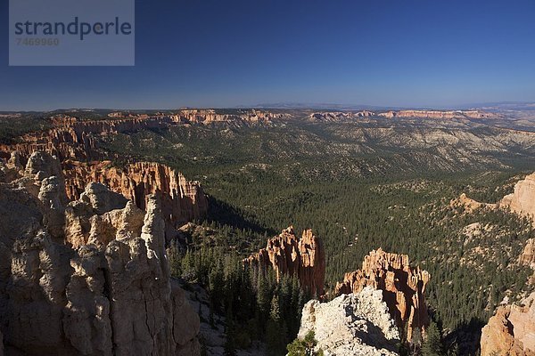 Vereinigte Staaten von Amerika  USA  Morgen  früh  Nordamerika  Ansicht  zeigen  Bryce Canyon Nationalpark  Utah