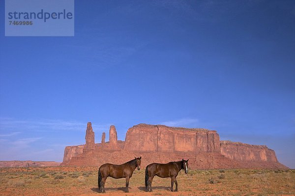 Vereinigte Staaten von Amerika  USA  Nordamerika  Utah